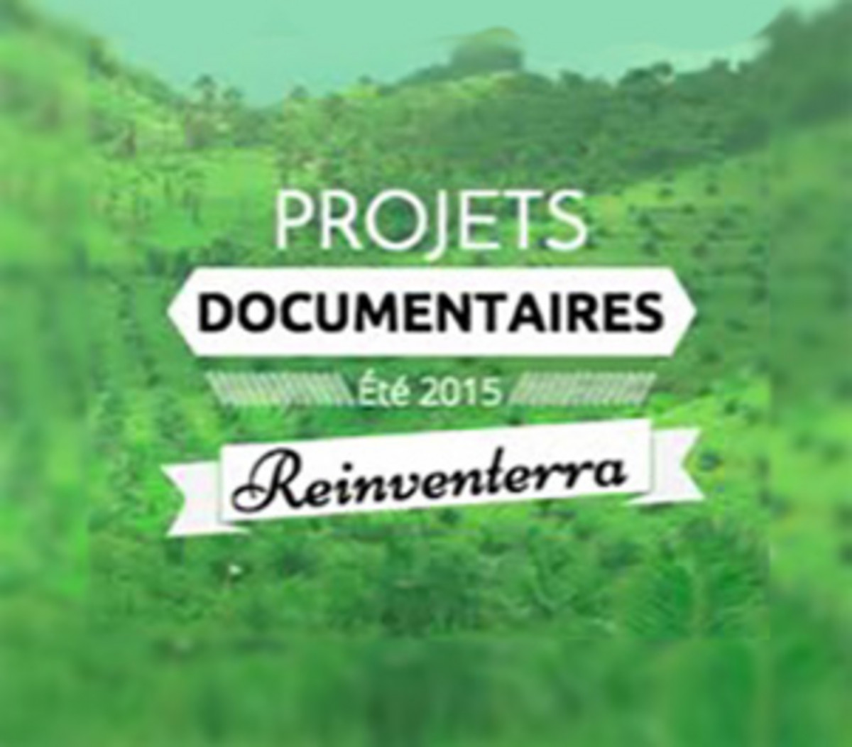Illustration des projets documentaires été 2015